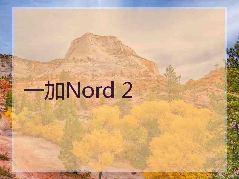 一加Nord 2