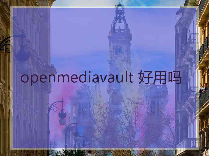 openmediavault 好用吗