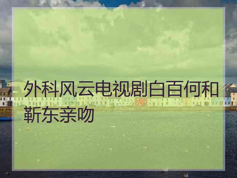 外科风云电视剧白百何和靳东亲吻