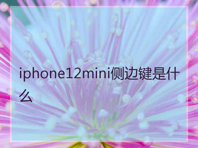 iphone12mini侧边键是什么