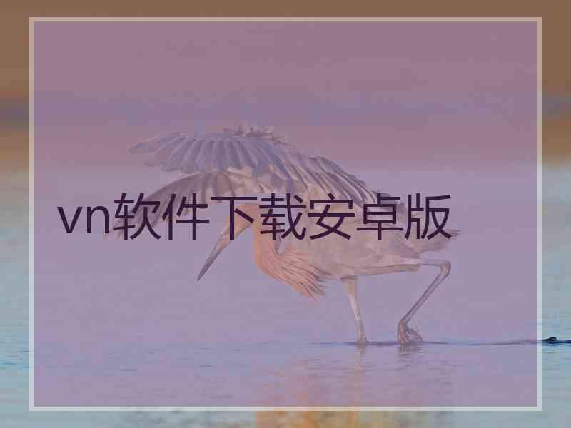 vn软件下载安卓版