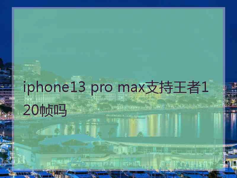 iphone13 pro max支持王者120帧吗