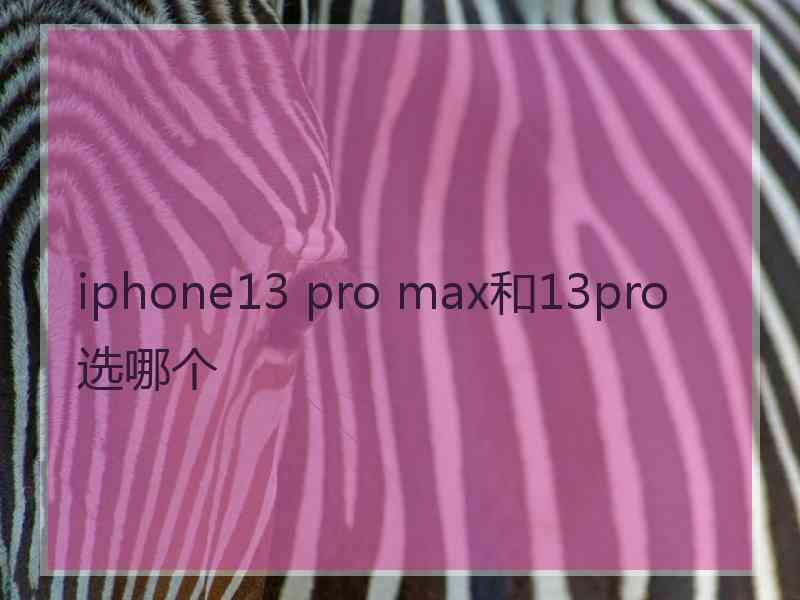 iphone13 pro max和13pro选哪个