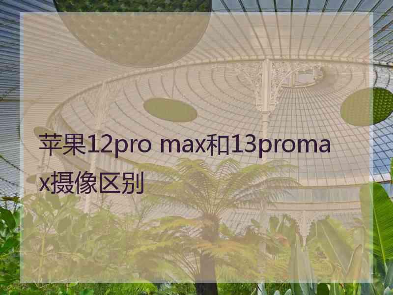 苹果12pro max和13promax摄像区别