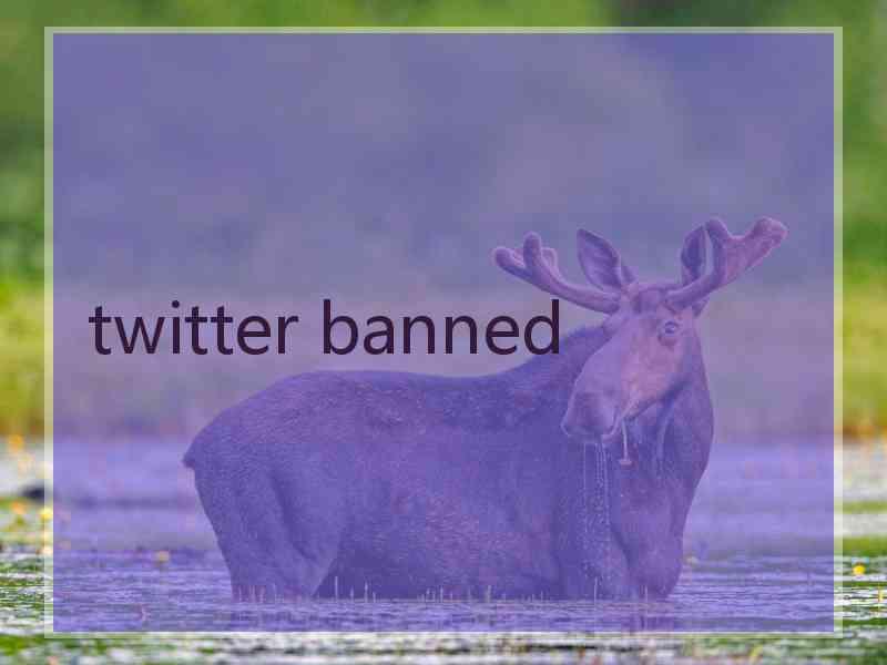 twitter banned