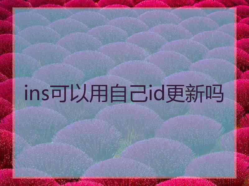 ins可以用自己id更新吗