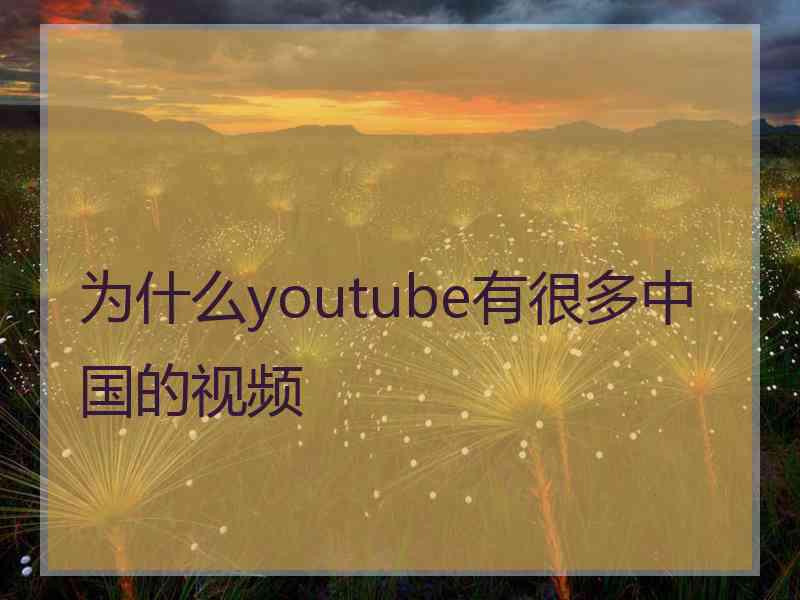 为什么youtube有很多中国的视频