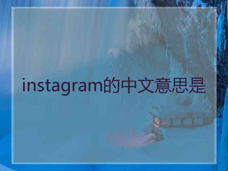 instagram的中文意思是