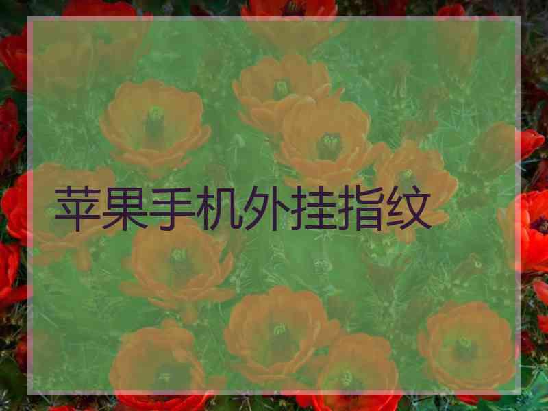 苹果手机外挂指纹