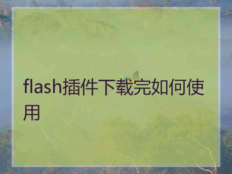 flash插件下载完如何使用