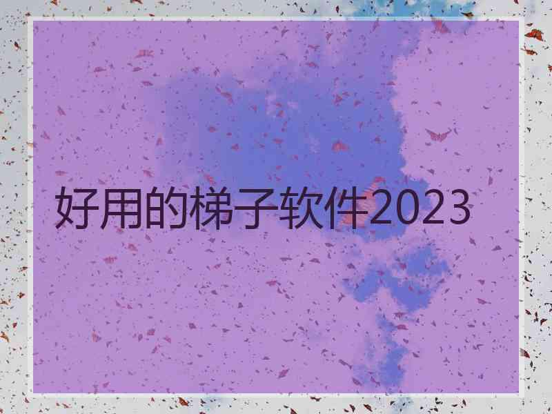 好用的梯子软件2023