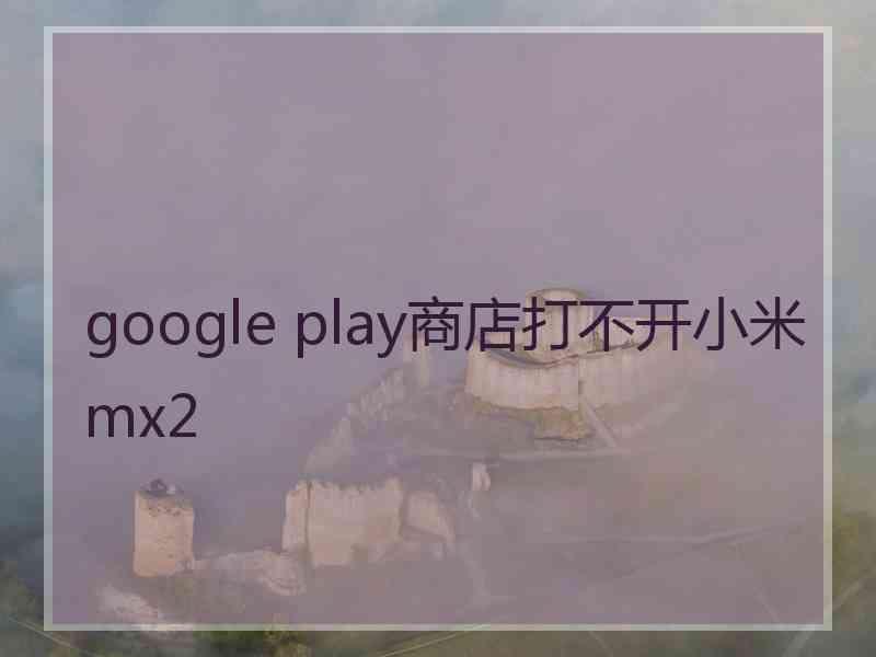 google play商店打不开小米mx2