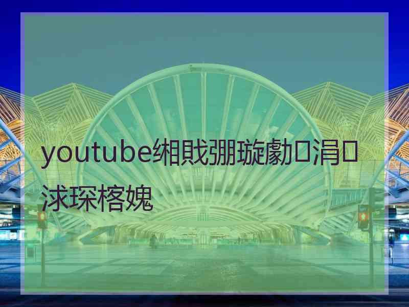 youtube缃戝弸璇勮涓浗琛楁媿