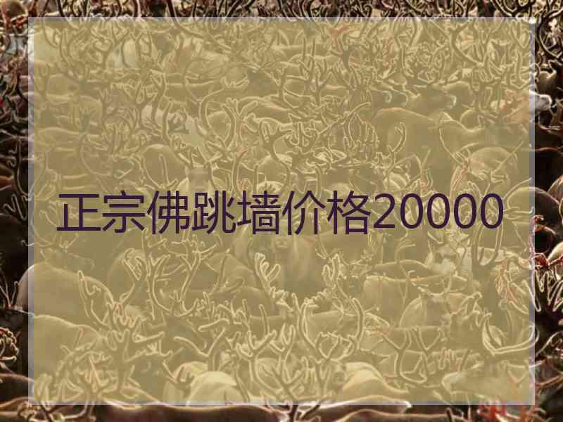 正宗佛跳墙价格20000