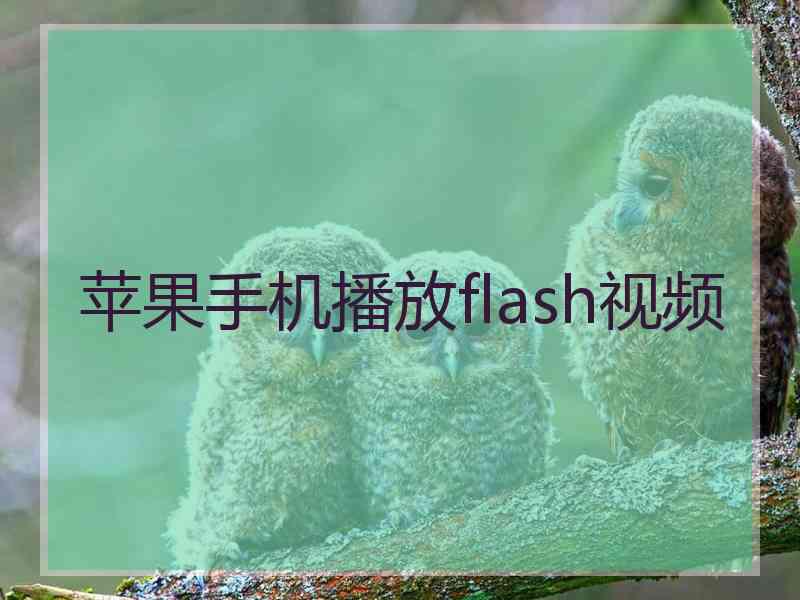 苹果手机播放flash视频