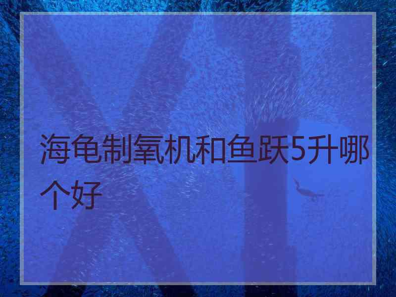 海龟制氧机和鱼跃5升哪个好