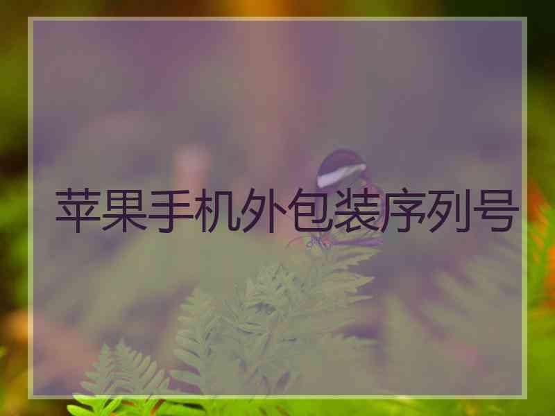 苹果手机外包装序列号