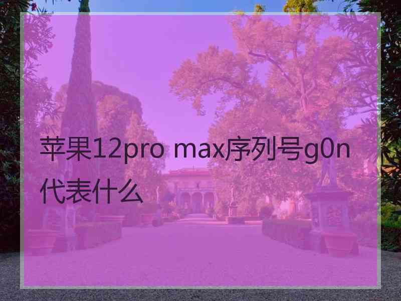 苹果12pro max序列号g0n代表什么