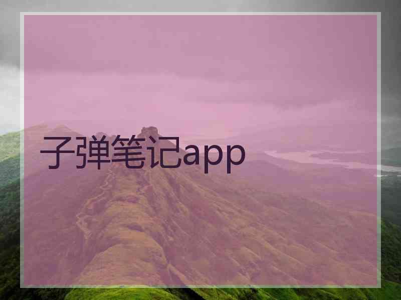 子弹笔记app