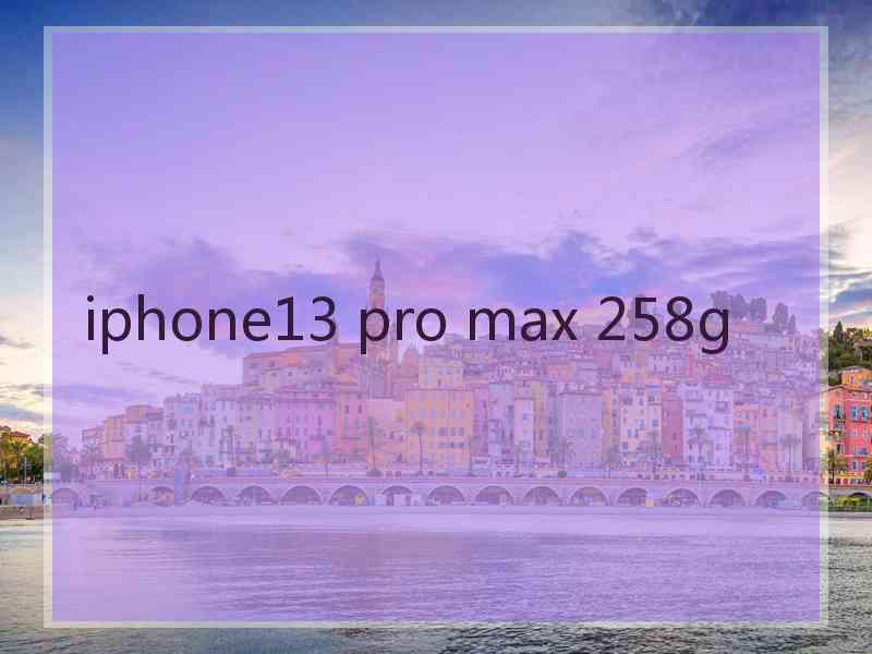 iphone13 pro max 258g