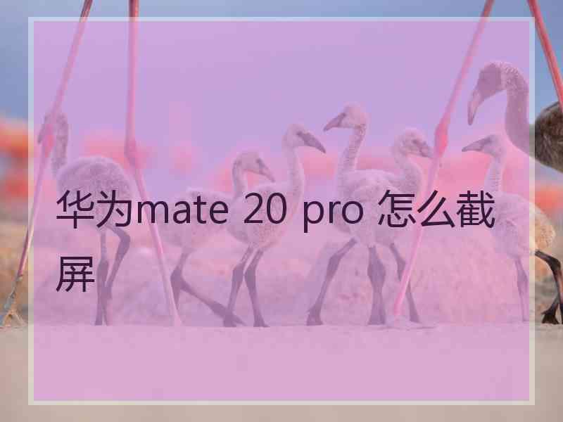 华为mate 20 pro 怎么截屏