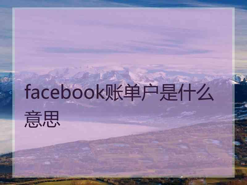 facebook账单户是什么意思