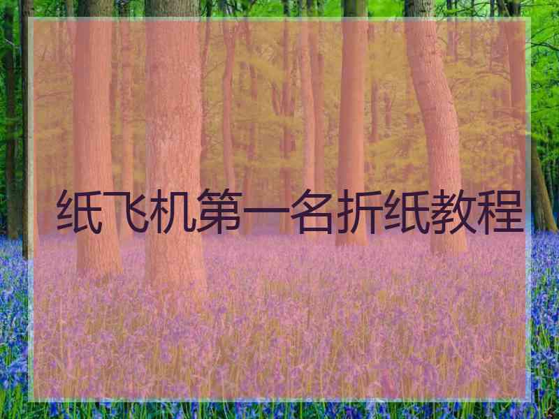 纸飞机第一名折纸教程