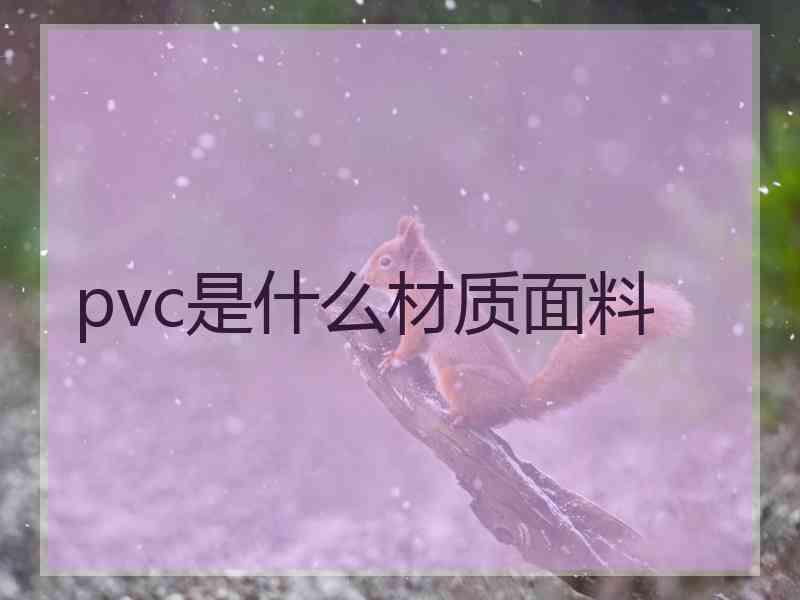 pvc是什么材质面料