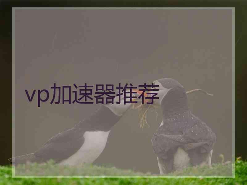 vp加速器推荐