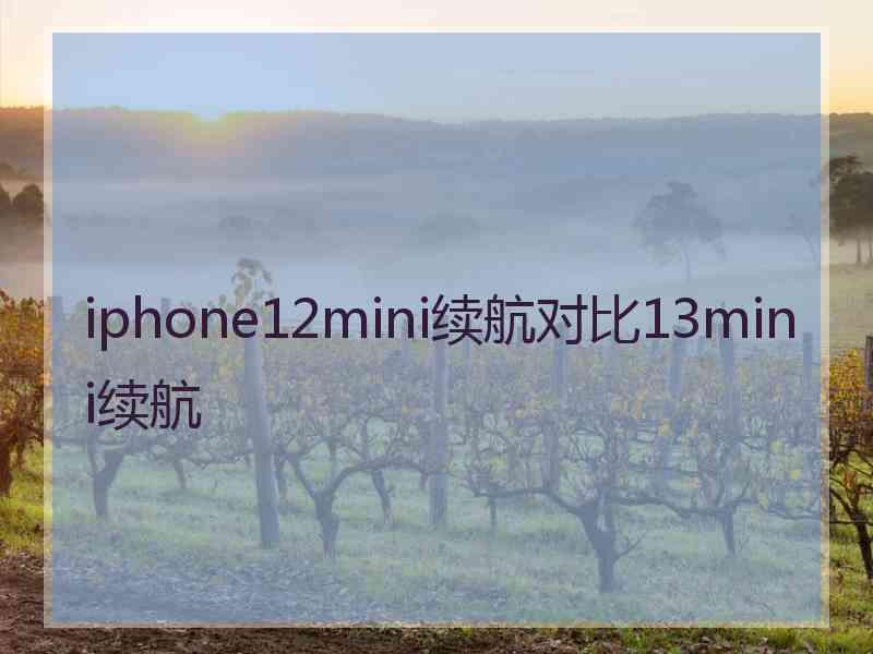 iphone12mini续航对比13mini续航