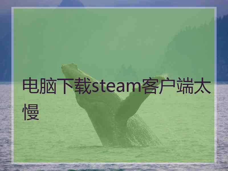 电脑下载steam客户端太慢