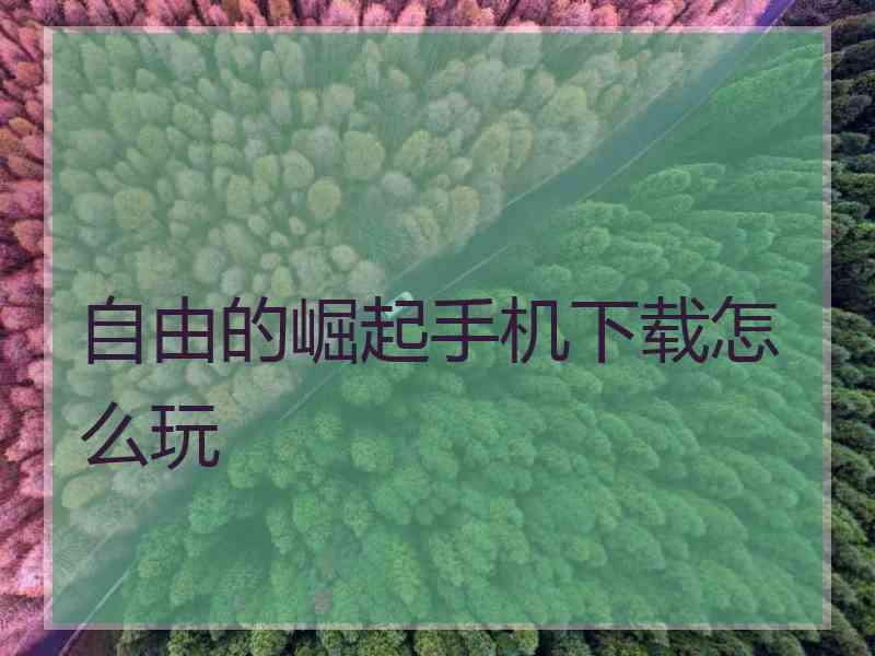 自由的崛起手机下载怎么玩