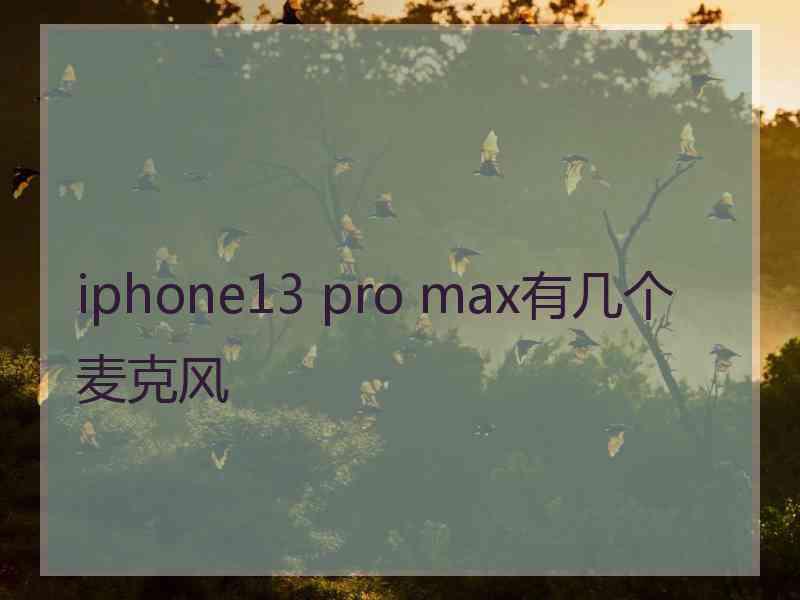 iphone13 pro max有几个麦克风