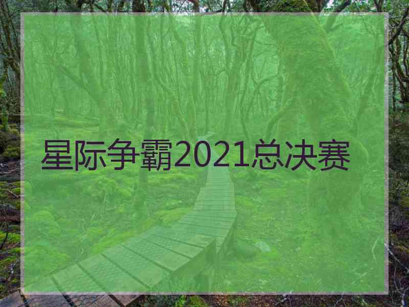 星际争霸2021总决赛