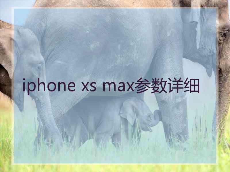 iphone xs max参数详细