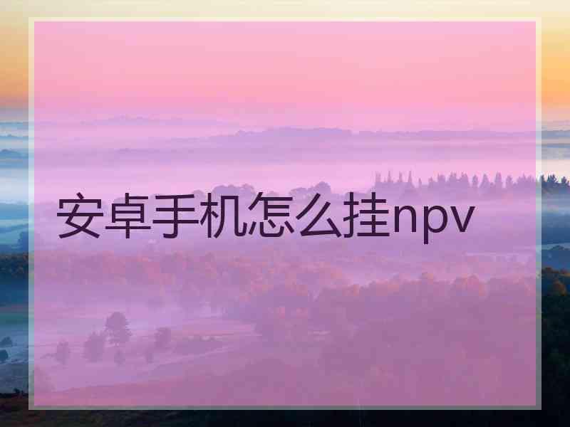 安卓手机怎么挂npv