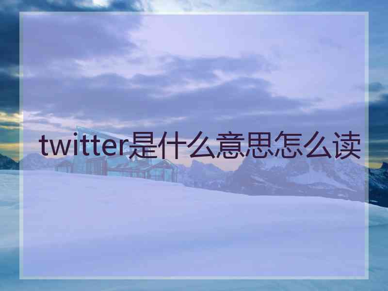 twitter是什么意思怎么读