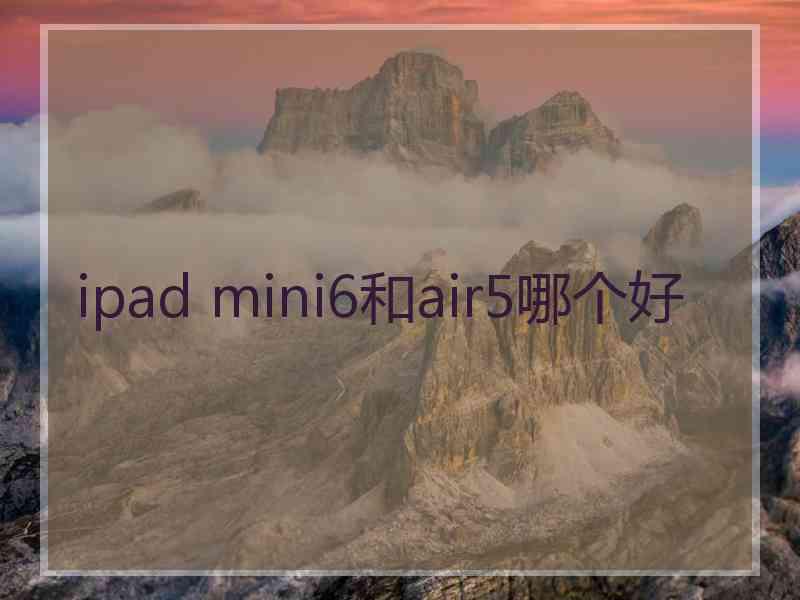 ipad mini6和air5哪个好