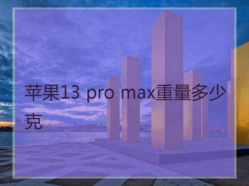 苹果13 pro max重量多少克