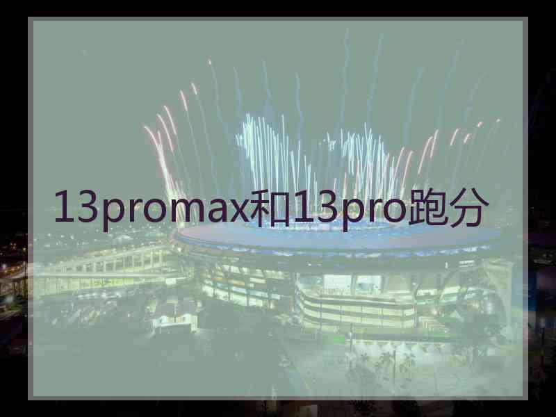 13promax和13pro跑分