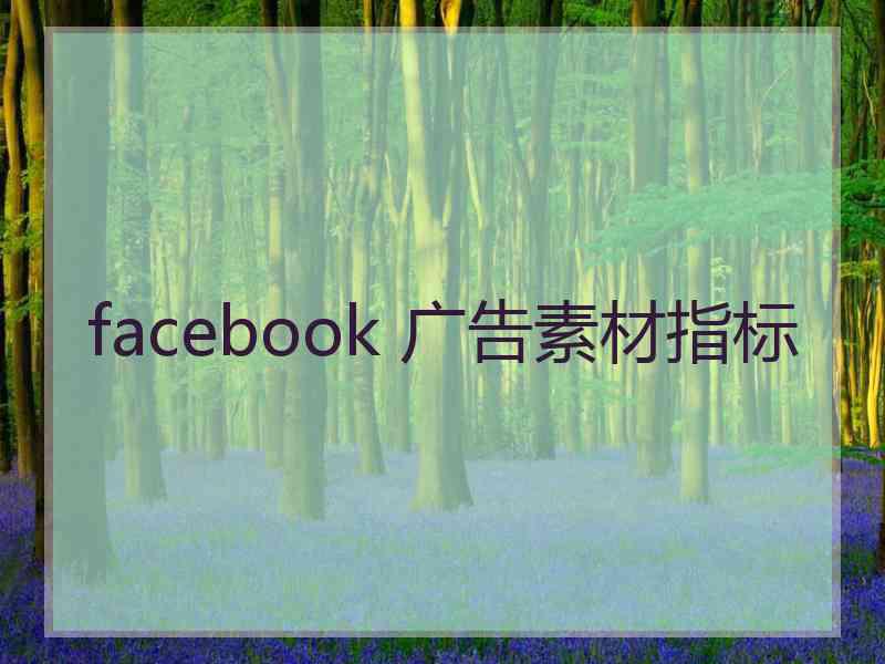 facebook 广告素材指标