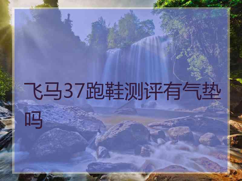 飞马37跑鞋测评有气垫吗