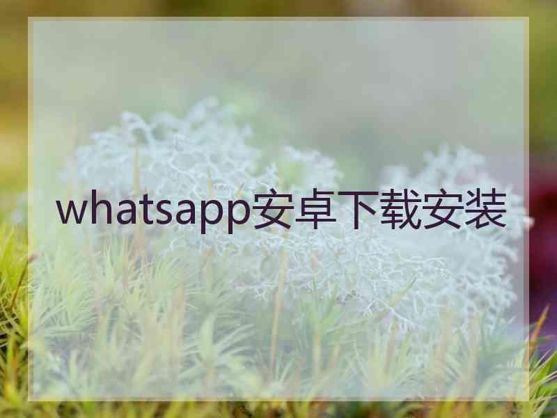 whatsapp安卓下载安装