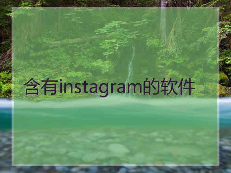 含有instagram的软件