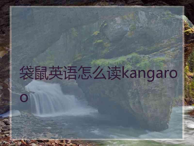 袋鼠英语怎么读kangaroo