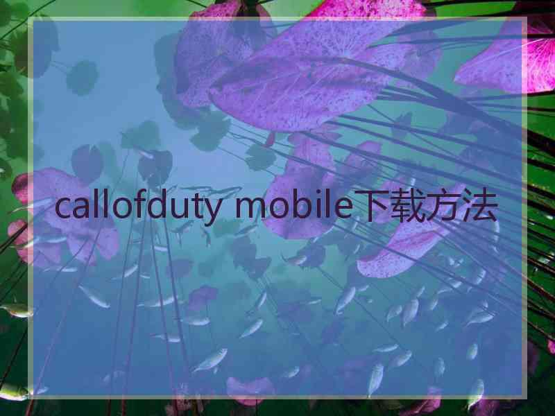 callofduty mobile下载方法