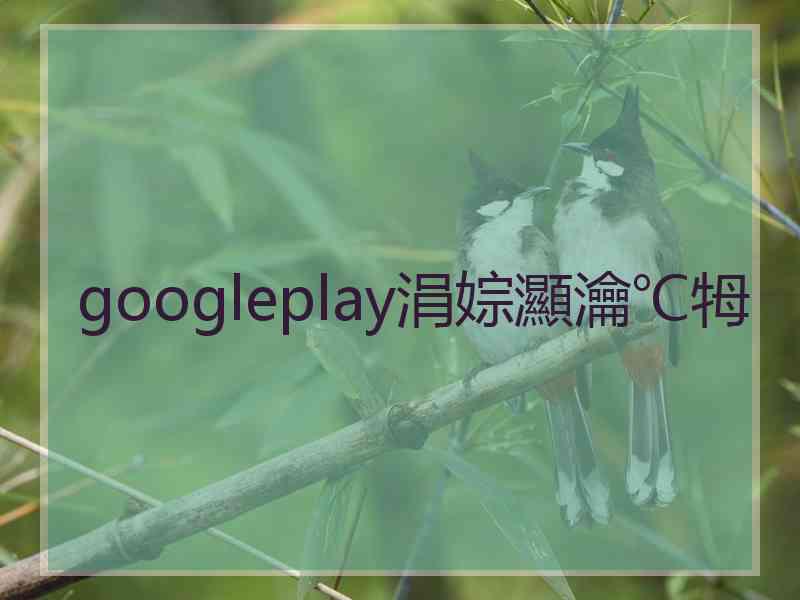 googleplay涓婃灦瀹℃牳