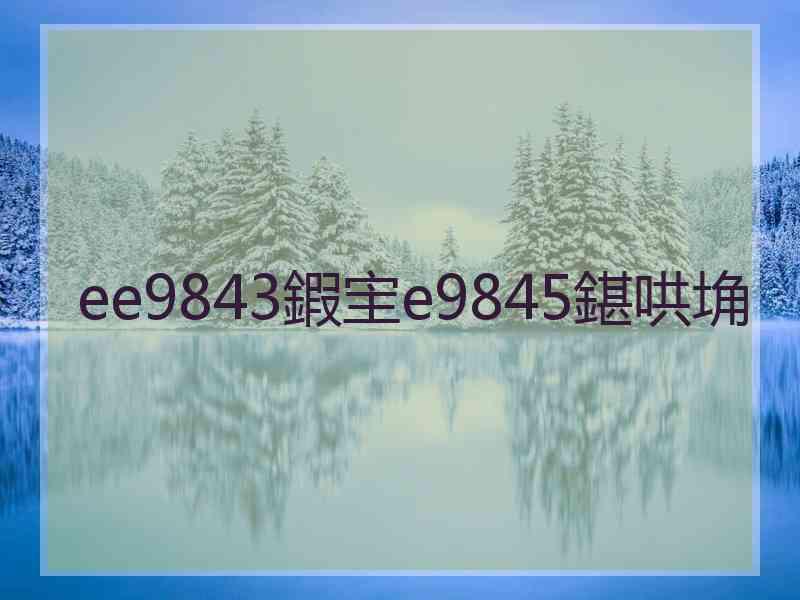 ee9843鍜宔e9845鍖哄埆