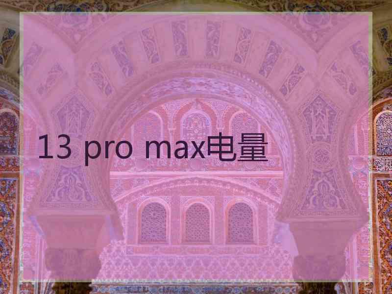 13 pro max电量