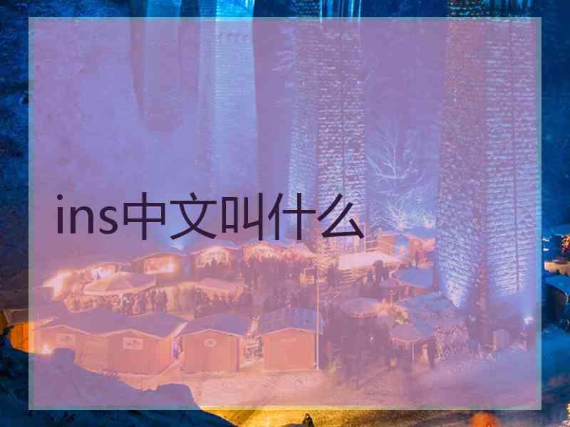 ins中文叫什么